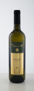 DSC01506 Tera Galos Flasche Pinot Gris-Dunkel-Gold 