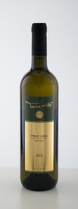 DSC01506 Tera Galos Flasche Pinot Gris-Dunkel-Gold 
