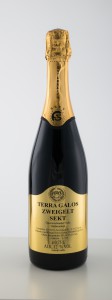 DSC01512 Tera Galos Flasche Zweigelt Sekt-Dunkel-Gold 