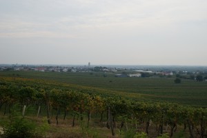DSC03498